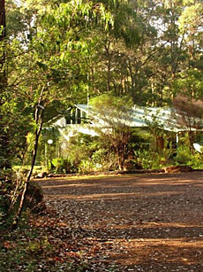 Harmony Forest Villas