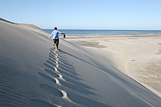 Farewell Spit
