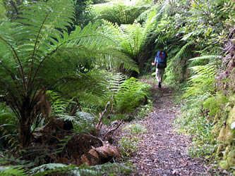 Abel Tasman Track