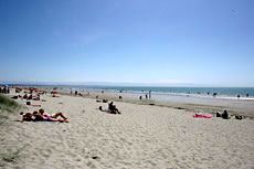 Tahunanui Beacch