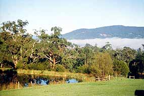 View from House
