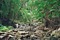 Mungumby Creek