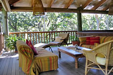 Rainforest Lounge