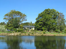 Rosie's Grove
