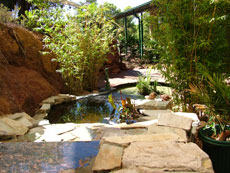 Garden Stream